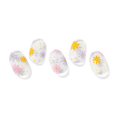 N Daisy Disco