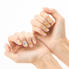 N Lucky Panda