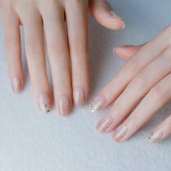 N Cream Shell